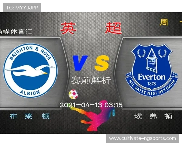 布莱顿俱乐部的崛起之路与英超新势力风云变迁全景解析与未来展望