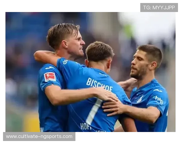 霍芬海姆1899足球俱乐部的历史发展与未来展望 霍芬海姆1899足球俱乐部的历史发展与未来展望