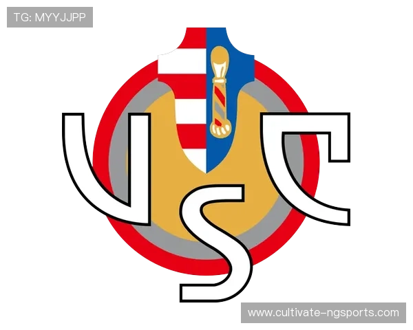 意大利足球甲级联赛历史演变与现代化发展趋势分析