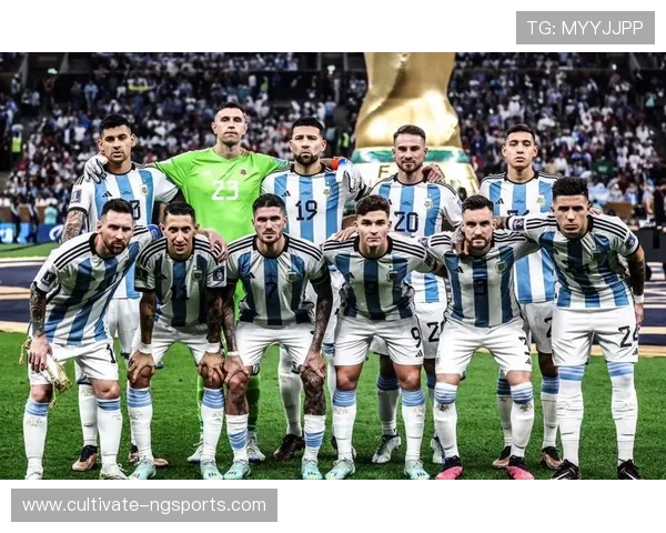 世界杯历史战绩深度分析各大球队表现与夺冠概率