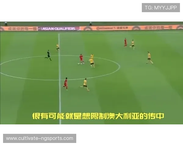 维罗纳足球俱乐部辉煌历程与现代发展战略深度解析