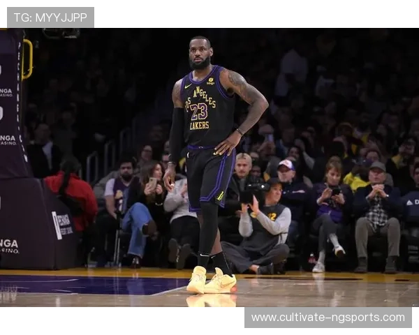 詹姆斯携手浓眉再度征战NBA季后赛 湖人力求突破历史瓶颈争取总冠军