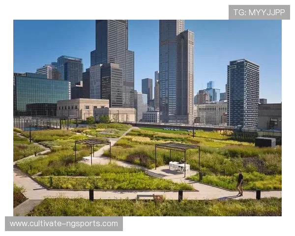 摩纳哥俱乐部建筑设计与现代城市景观融合解析